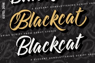Blackcat: A Vintage Handwritten Font for Web Design