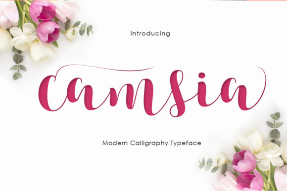 Camsia: A Handwritten Font for Polished Brand Identity