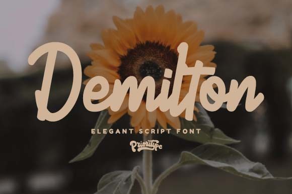 Demilton: A Handwritten Font for Authentic Branding