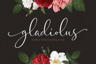 Gladiolus: A Designer's Review for Real Projects