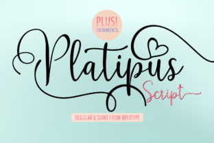Platipus: A Playful Script Font for Editorial Design