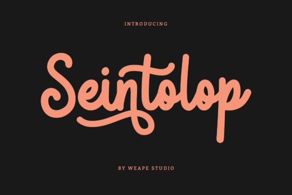 Seintolop: A Charming Script Font for Web Design